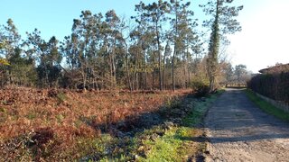 Terreno de 4606 m² em Viana do Castelo