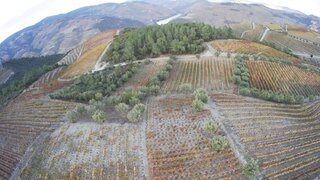 Terreno em Tabuaço