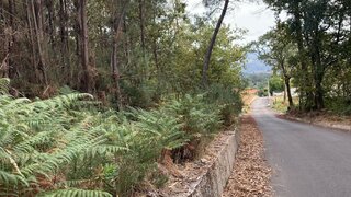 Land for sale in São Pedro do Sul, Portugal — €115,000