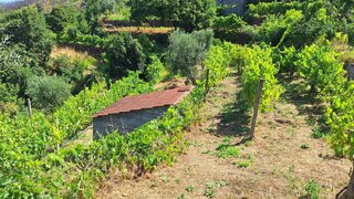 Land for sale in Cinfães, Portugal — €15,500