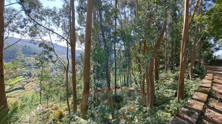 Land for sale in Ponte de Lima, Portugal — €10,000