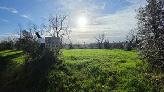 Land for sale in Nelas, Portugal — €52,500