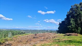 Terreno em Santa Comba Dão