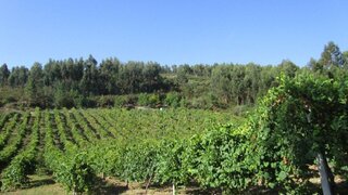 Land for sale in Monção, Portugal — €125,000