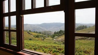 Land for sale in Alijó, Portugal — €250,000