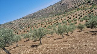 Land for sale in Vila Nova de Foz Côa, Portugal — €260,000