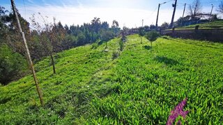 Terreno de 3000 m² em Viana do Castelo