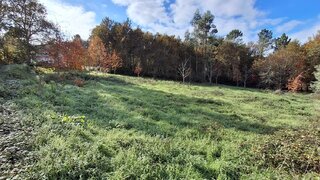 Terreno para venda em Vouzela, Portugal — 25 000 €