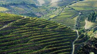 Land for sale in Armamar, Portugal — €140,000