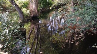 Terreno em Penalva do Castelo