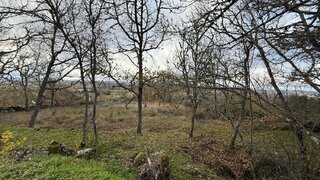 Terreno em Guarda