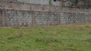 Land for sale in Santa Comba Dão, Portugal — €26,000