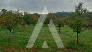 Land for sale in Ponte de Lima, Portugal — €86,150