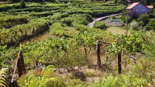 Land for sale in Monção, Portugal — €35,000