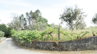 Terreno de 735 m² em Viseu