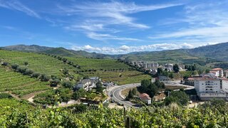 Land for sale in Peso da Régua, Portugal — €750,000