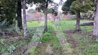 Land for sale in Mangualde, Portugal — €225,000