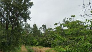 Land for sale in Tondela, Portugal — €8,000