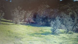 Terreno em Vila Real · 1650 m² · 163 000 €