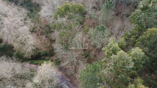 Terreno em Vouzela