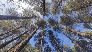 Land for sale in Sabugal, Portugal — €26,500