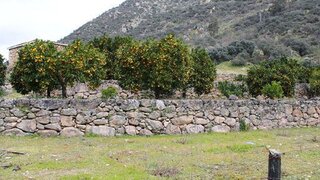 Land for sale in Carrazeda de Ansiães, Portugal — €20,000
