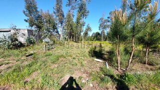 Terreno de 1016 m² em Viseu