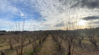 Land for sale in Tarouca, Portugal — €40,000
