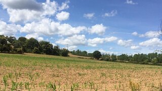 Terreno de 30 000 m² em Bragança