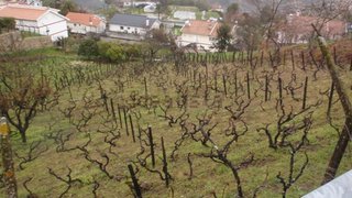 Land for sale in Vila Real, Portugal — €130,000