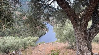 Terreno em Alijó