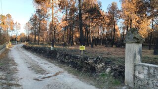 Land for sale in Sernancelhe, Portugal — €15,900