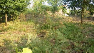 Land for sale in Melgaço, Portugal — €19,700