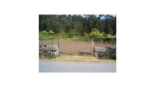 Land for sale in Vila Nova de Cerveira, Portugal — €70,000