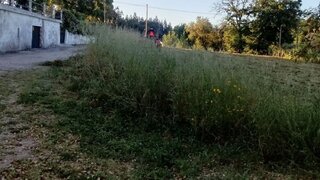 Land for sale in Santa Comba Dão, Portugal — €60,000