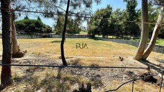 Land for sale in Santa Comba Dão, Portugal — €29,900
