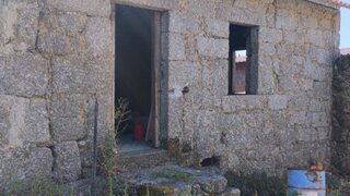 Land for sale in Santa Comba Dão, Portugal — €99,000