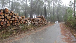 Terreno de 1500 m² em Viseu