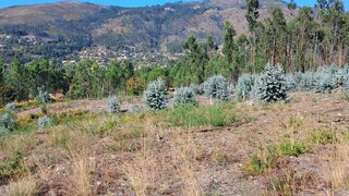 Terreno em Arcos de Valdevez · 3550 m² · 50 000 €