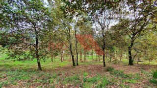 Land for sale in Arcos de Valdevez, Portugal — €85,000