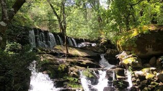 Terreno para venda em Mangualde, Portugal — 295 000 €