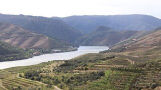 Land for sale in Carrazeda de Ansiães, Portugal — €60,000