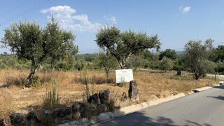 Terreno para venda em Carregal do Sal, Portugal — 48 000 €