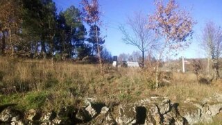 Land for sale in Vila Nova de Paiva, Portugal — €99,000