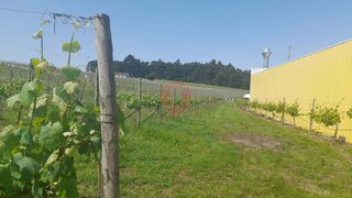 Land for sale in Monção, Portugal — €355,000