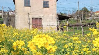 Land for sale in Ponte da Barca, Portugal — €45,000