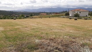 Land for sale in Tondela, Portugal — €175,000
