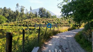 Land for sale in Mondim de Basto, Portugal — €22,500