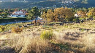 Terreno de 4000 m² em Vila Real