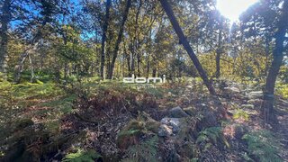 Terreno em Viseu